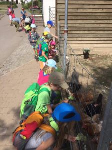 14359857_10154588296277174_2000016262_o